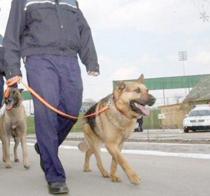 Inspectoratul Judeţean de Poliţie donează un câine de urmă!